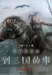 關(guān)于我穿越到三國的事