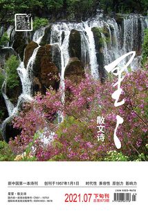 星星·散文詩（2021年第7期）