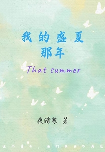 我的盛夏那年