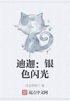 迪迦：银色闪光在线阅读