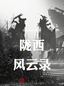 隴西風云錄