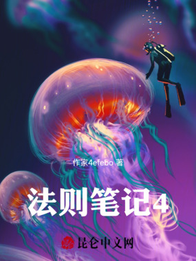 法则笔记4在线阅读