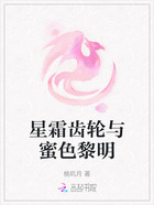 星霜齿轮与蜜色黎明在线阅读