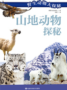 山地动物探秘(野生动物大探秘)在线阅读
