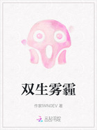 双生雾霾在线阅读