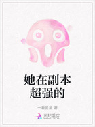 她在副本超强的在线阅读