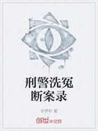 刑警洗冤断案录在线阅读