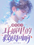 那年夏天,耳蜗里的救赎回响在线阅读