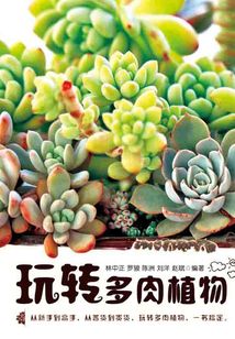 玩轉(zhuǎn)多肉植物