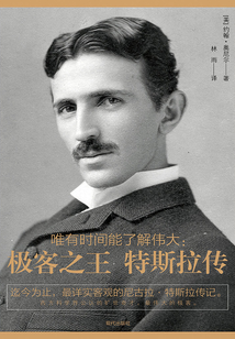 唯有時間能證明偉大：極客之王特斯拉傳