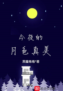 今夜的月色真美