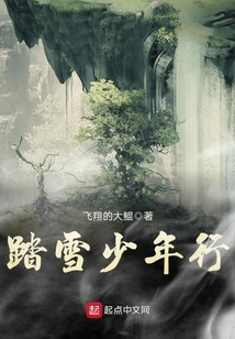 踏雪少年行