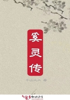 奚灵传在线阅读