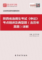 2020年陕西省选调生考试《申论》考点精讲及典型题（含历年真题）详解