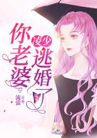 凌少,你老婆逃婚了
