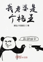 我老婆是个枪王在线阅读