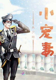 辰少的小寵妻