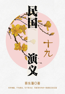 蔡東藩經(jīng)典歷史小說：民國演義（19）