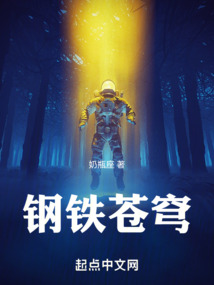 鋼鐵蒼穹