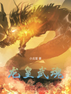 龙皇武魂在线阅读