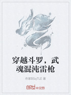 穿越斗罗，武魂混沌雷枪在线阅读