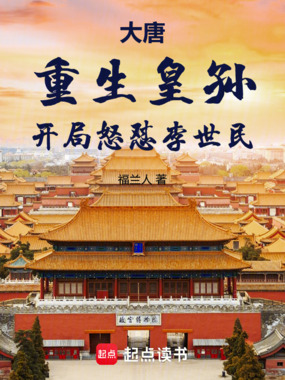 大唐：重生皇孙，开局怒怼李世民在线阅读