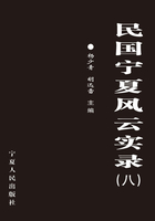 民国宁夏风云实录8在线阅读