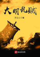 大明亂賊在線閱讀