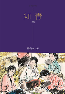 知青（下）
