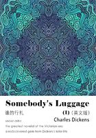 Somebody's Luggage 谁的行礼（I）（英文版）在线阅读