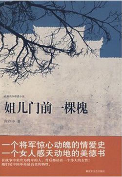 姐儿门前一棵槐 封面