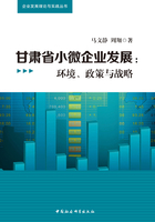 甘肃省小微企业发展：环境、政策与战略在线阅读