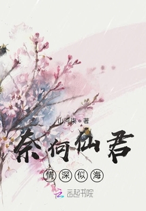 奈何仙君情深似海