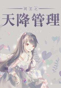 網(wǎng)王之天降管理