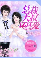 总裁大叔坏坏爱