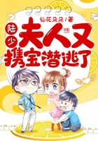 陸少，夫人又攜寶潛逃了在線閱讀