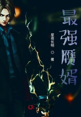 最强赝婿在线阅读
