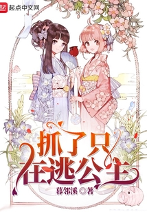 抓了只在逃公主