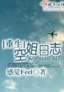 重生空姐日志