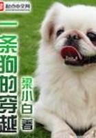 一條狗的穿越在線閱讀