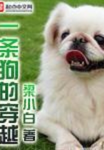 一條狗的穿越