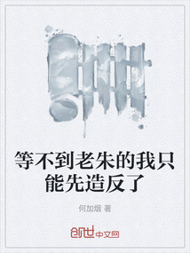 等不到老朱的我只能先造反了