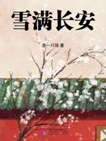 雪滿長安
