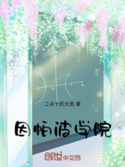 因帕波学院在线阅读