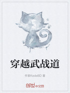 穿越武战道在线阅读