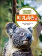 哺乳动物:上(国家地理动物百科)在线阅读