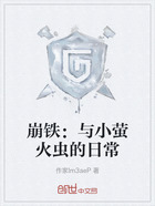 崩铁:与小萤火虫的日常在线阅读