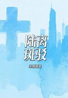 陆离斑驳在线阅读