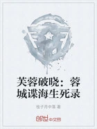 芙蓉破晓:蓉城谍海生死录在线阅读