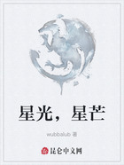 星光，星芒在线阅读